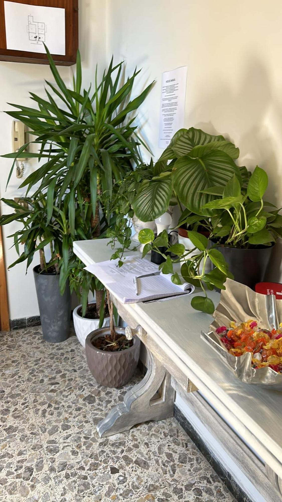 Hotel Live In Pisa - 250M Dalla Stazione Centrale Di Pise Extérieur photo